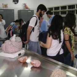 Laboratório de Anatomia e Neuroanatomia