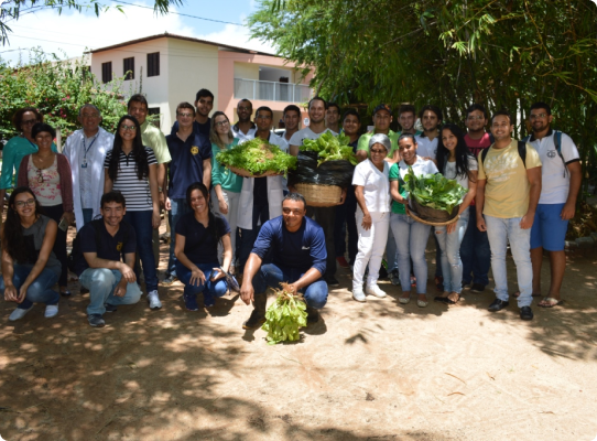 Compostagem e Horta Orgânica