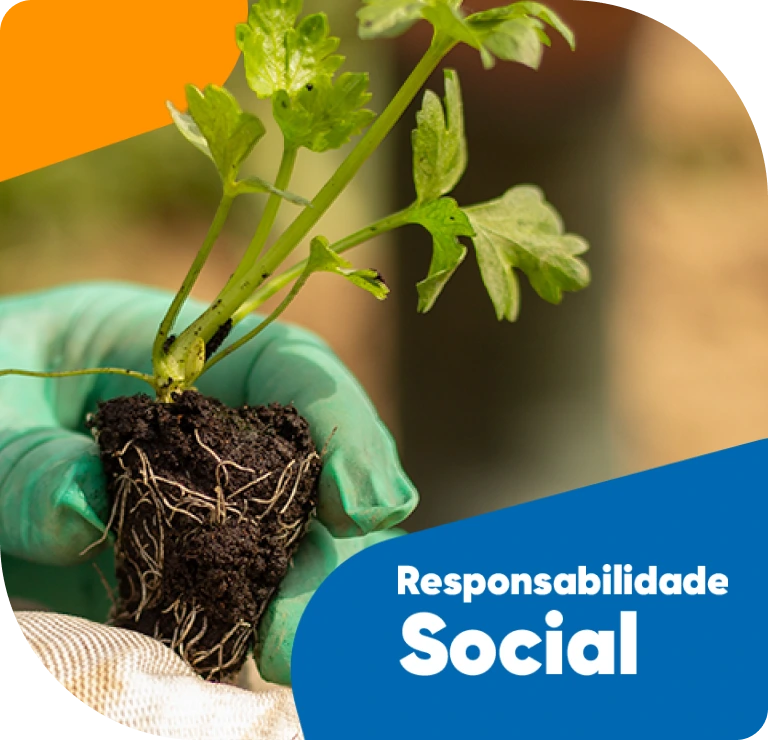 Responsabilidade Social