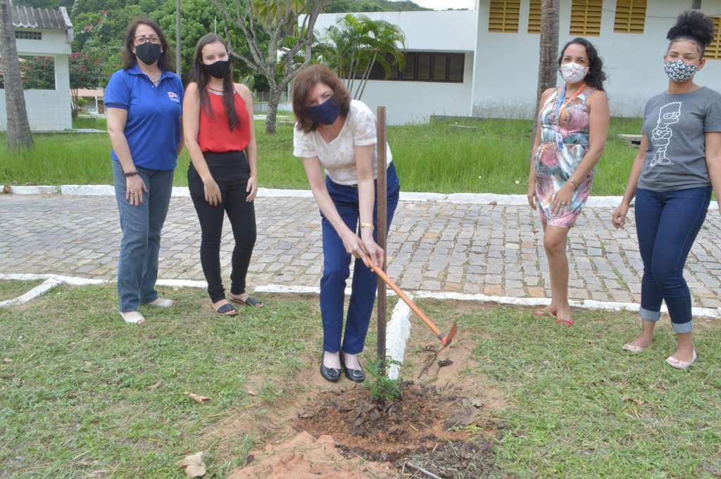 Foto do Álbum