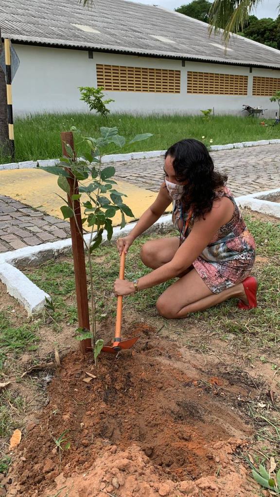 Foto do Álbum