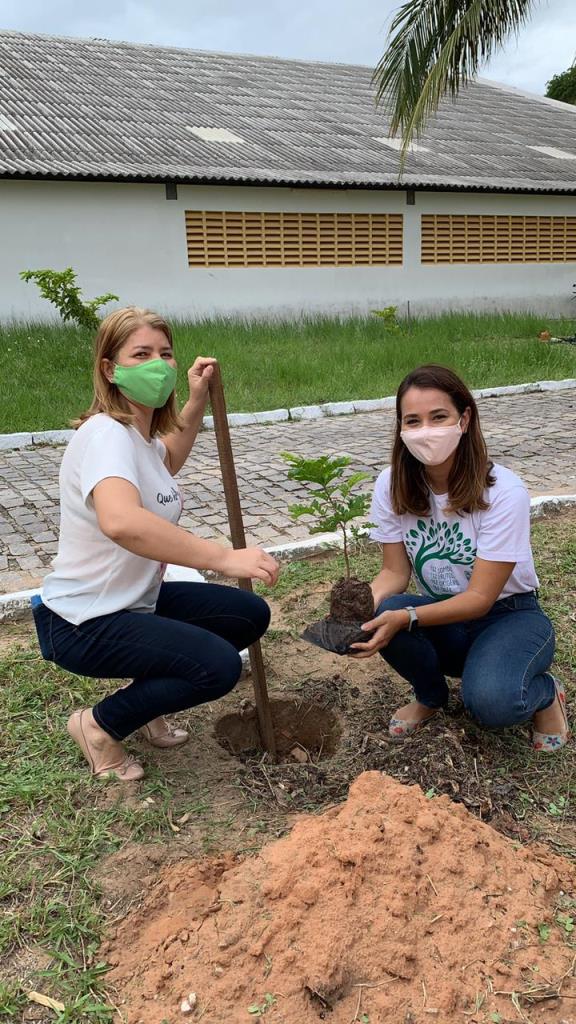 Foto do Álbum