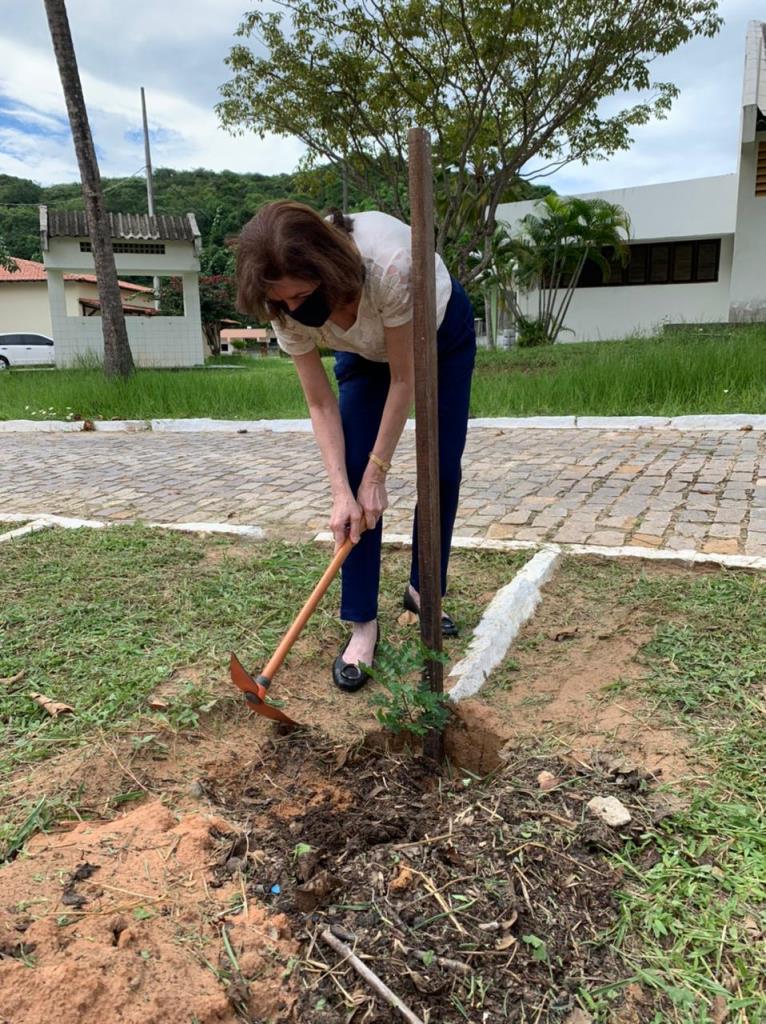 Foto do Álbum