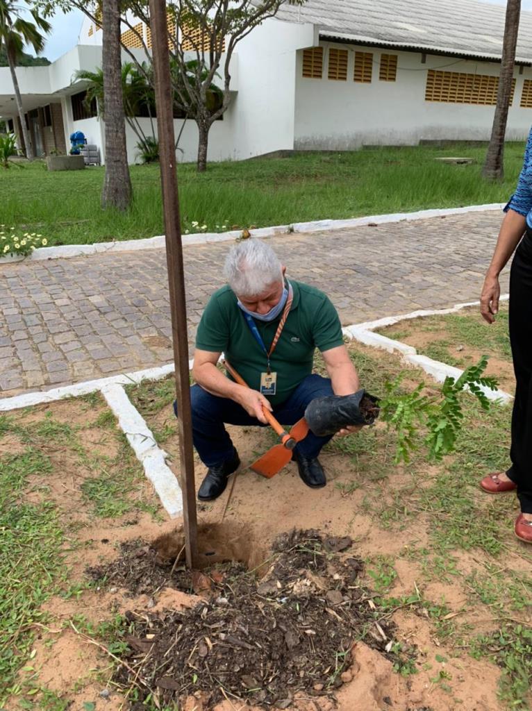 Foto do Álbum