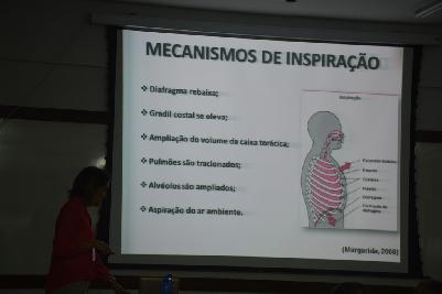 Foto do Álbum